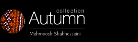 Autumn Collections 2007
